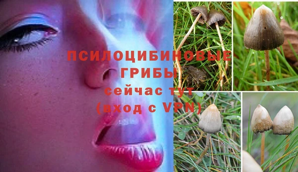 MESCALINE Волоколамск